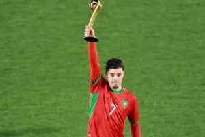 世青赛奖项：玛玛金球、扎比里银球、德尔加多铜球，巴比金手套